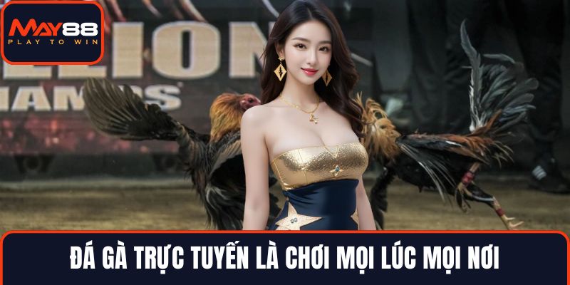 Đá gà trực tuyến là chơi mọi lúc mọi nơi