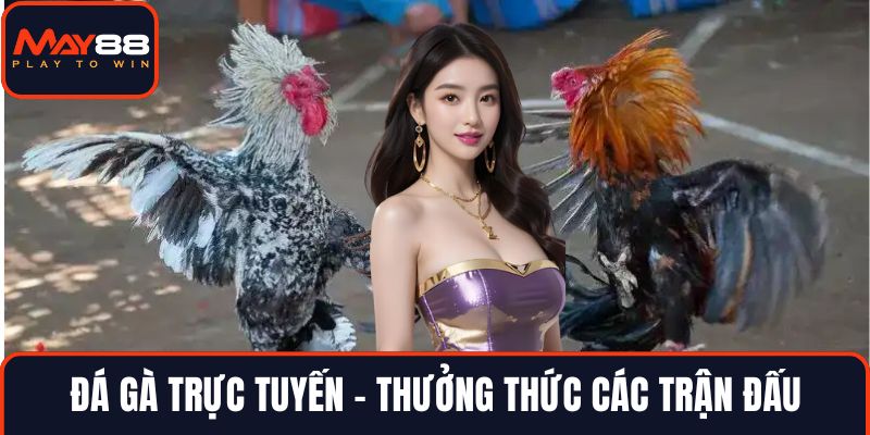 Đá gà trực tuyến