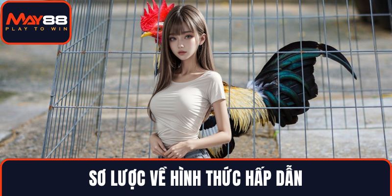 Sơ lược về hình thức hấp dẫn